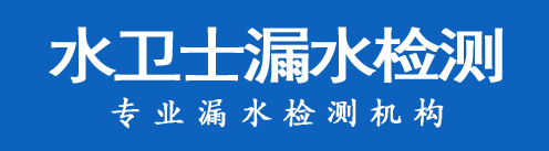 金林区暗管漏水检测
